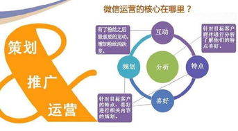 金华网站建设指千引 论企业网站建设的必要性与网络技术服务价值