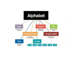 新手宝典 探索黑客网，开启你的网络安全与编程之旅